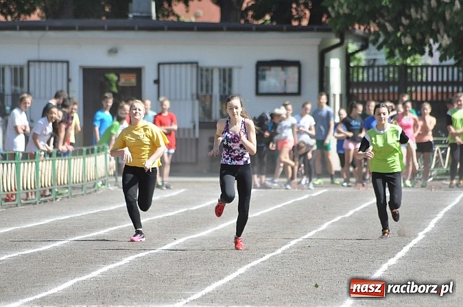 Zdjęcie w galerii na portalu naszraciborz.pl: Lekkoatleci z gimnazjów walczą o medale na stadionie PWSZ  wiadomości z regionu
