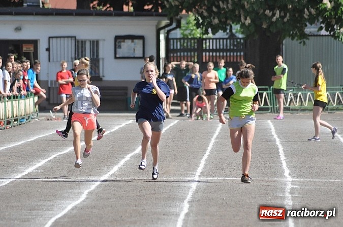 Zdjęcie w galerii na portalu naszraciborz.pl: Lekkoatleci z gimnazjów walczą o medale na stadionie PWSZ  wiadomości z regionu