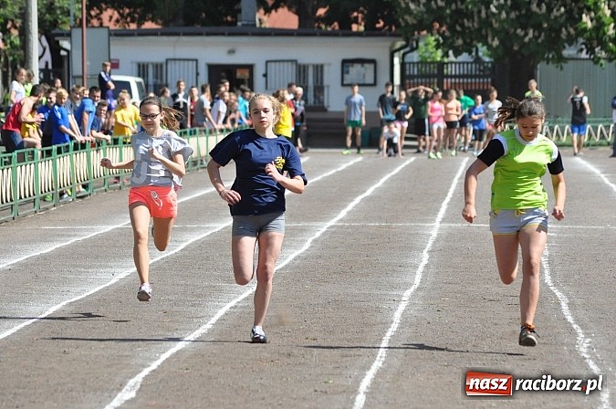 Zdjęcie w galerii na portalu naszraciborz.pl: Lekkoatleci z gimnazjów walczą o medale na stadionie PWSZ  wiadomości z regionu