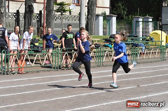 Zdjęcie w galerii na portalu naszraciborz.pl: Lekkoatleci z gimnazjów walczą o medale na stadionie PWSZ  wiadomości z regionu