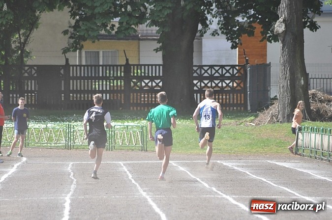 Zdjęcie w galerii na portalu naszraciborz.pl: Lekkoatleci z gimnazjów walczą o medale na stadionie PWSZ  wiadomości z regionu
