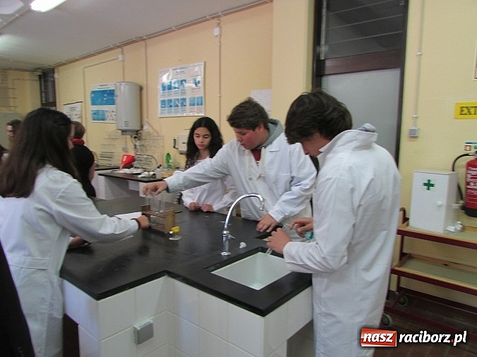 Zdjęcie w galerii na portalu naszraciborz.pl: Comenius, czyli z Portugalii do Markowic wiadomości z regionu