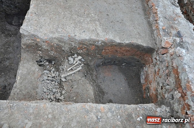 Zdjęcie w galerii na portalu naszraciborz.pl: Prace archeologiczne przy kościele św. Jakuba przynoszą kolejne odkrycia pochówków  wiadomości z regionu
