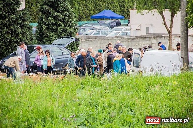 Zdjęcie w galerii na portalu naszraciborz.pl: Tysiące zwiedzających na jarmarku w Chałupkach wiadomości z regionu