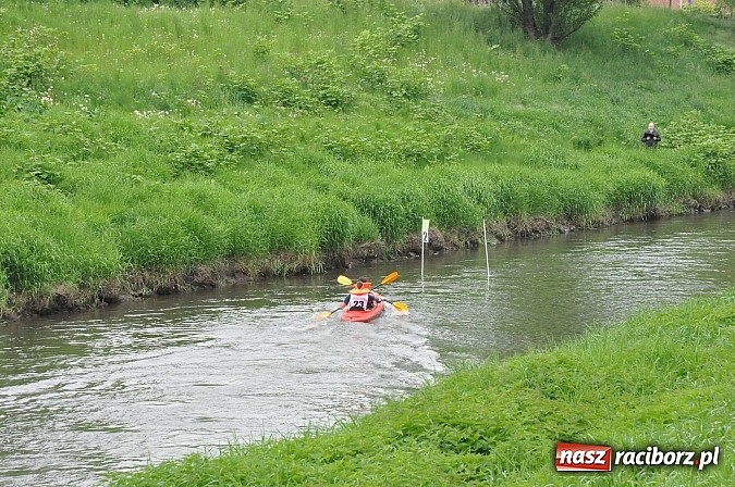 Zdjęcie w galerii na portalu naszraciborz.pl: W Raciborzu pływali po Odrze slalomem  wiadomości z regionu