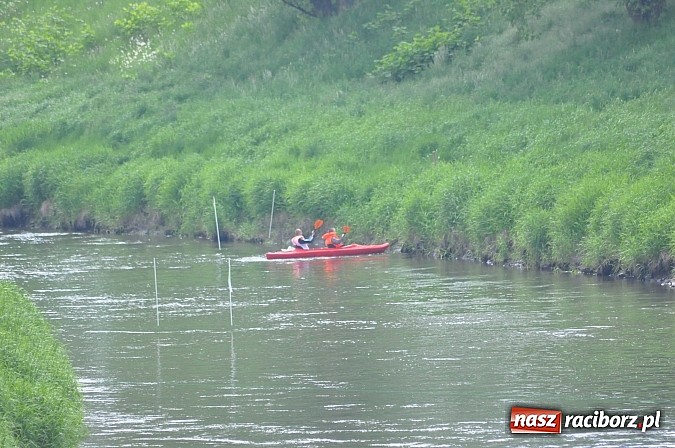 Zdjęcie w galerii na portalu naszraciborz.pl: W Raciborzu pływali po Odrze slalomem  wiadomości z regionu