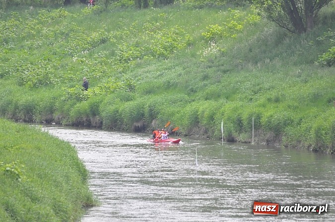 Zdjęcie w galerii na portalu naszraciborz.pl: W Raciborzu pływali po Odrze slalomem  wiadomości z regionu