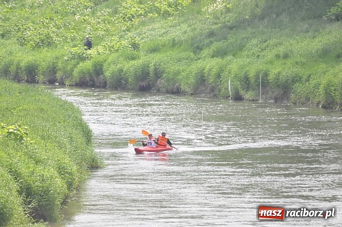 Zdjęcie w galerii na portalu naszraciborz.pl: W Raciborzu pływali po Odrze slalomem  wiadomości z regionu