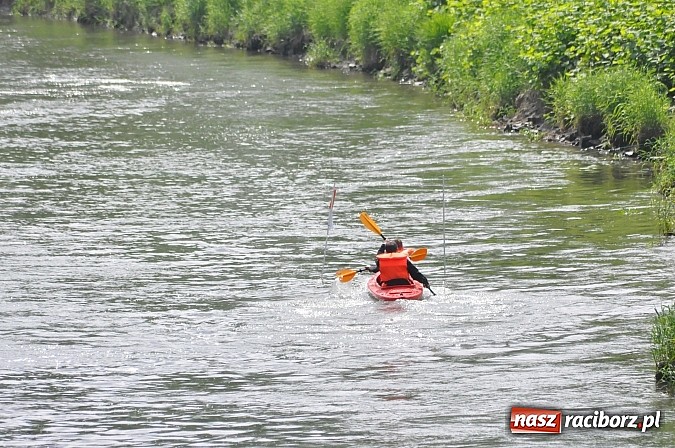 Zdjęcie w galerii na portalu naszraciborz.pl: W Raciborzu pływali po Odrze slalomem  wiadomości z regionu