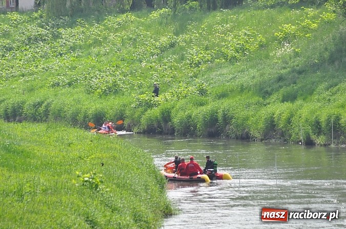 Zdjęcie w galerii na portalu naszraciborz.pl: W Raciborzu pływali po Odrze slalomem  wiadomości z regionu