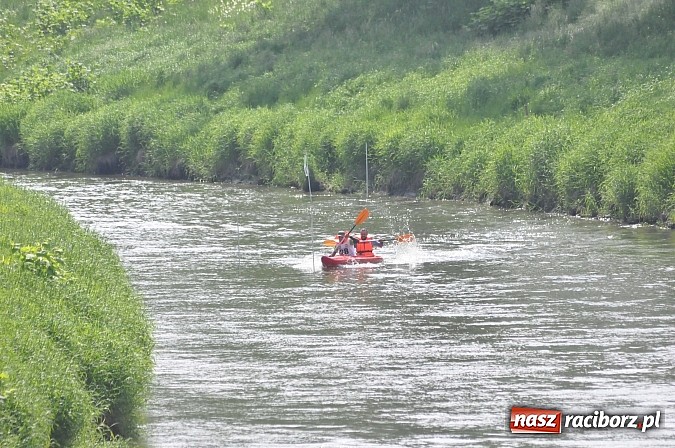 Zdjęcie w galerii na portalu naszraciborz.pl: W Raciborzu pływali po Odrze slalomem  wiadomości z regionu