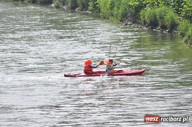 Zdjęcie w galerii na portalu naszraciborz.pl: W Raciborzu pływali po Odrze slalomem  wiadomości z regionu