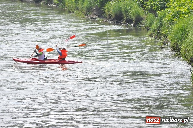 Zdjęcie w galerii na portalu naszraciborz.pl: W Raciborzu pływali po Odrze slalomem  wiadomości z regionu