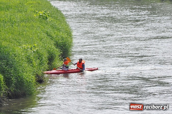 Zdjęcie w galerii na portalu naszraciborz.pl: W Raciborzu pływali po Odrze slalomem  wiadomości z regionu