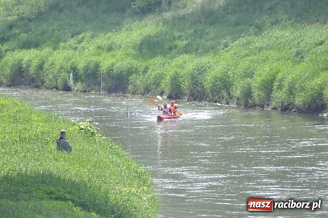 Zdjęcie w galerii na portalu naszraciborz.pl: W Raciborzu pływali po Odrze slalomem  wiadomości z regionu