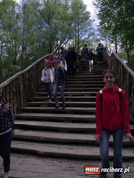 Zdjęcie w galerii na portalu naszraciborz.pl: Czeladnicy piernikarium na piastowskim szlaku  wiadomości z regionu