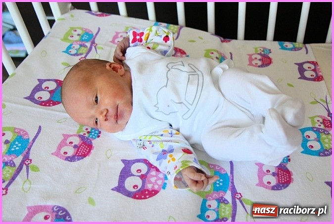 Zdjęcie w galerii na portalu naszraciborz.pl: Sylwia i Arek bardzo się radowali, kiedy na świecie swoją córeczkę witali! wiadomości z regionu