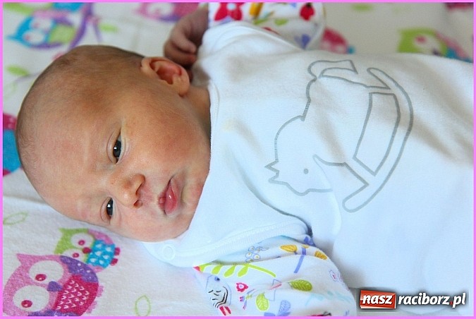Zdjęcie w galerii na portalu naszraciborz.pl: Sylwia i Arek bardzo się radowali, kiedy na świecie swoją córeczkę witali! wiadomości z regionu