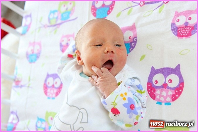Zdjęcie w galerii na portalu naszraciborz.pl: Sylwia i Arek bardzo się radowali, kiedy na świecie swoją córeczkę witali! wiadomości z regionu