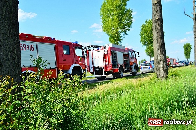 Zdjęcie w galerii na portalu naszraciborz.pl: Wypadek na drodze Ciechowice-Turze. Ciężko ranną kobietę zabrało lotnicze pogotowie ratunkowe wiadomości z regionu
