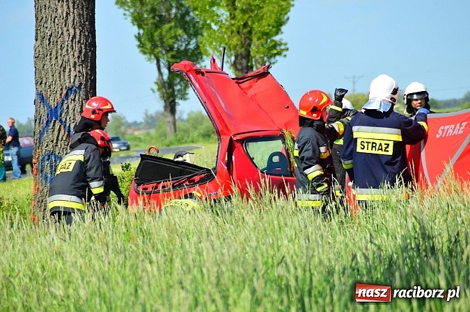Zdjęcie w galerii na portalu naszraciborz.pl: Wypadek na drodze Ciechowice-Turze. Ciężko ranną kobietę zabrało lotnicze pogotowie ratunkowe wiadomości z regionu