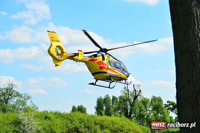 Zdjęcie w galerii na portalu naszraciborz.pl: Wypadek na drodze Ciechowice-Turze. Ciężko ranną kobietę zabrało lotnicze pogotowie ratunkowe wiadomości z regionu