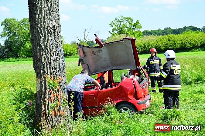 Zdjęcie w galerii na portalu naszraciborz.pl: Wypadek na drodze Ciechowice-Turze. Ciężko ranną kobietę zabrało lotnicze pogotowie ratunkowe wiadomości z regionu