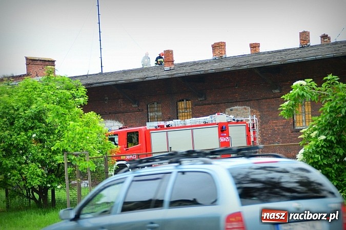 Zdjęcie w galerii na portalu naszraciborz.pl: Zaprószenie ognia na Kościuszki w Raciborzu wiadomości z regionu