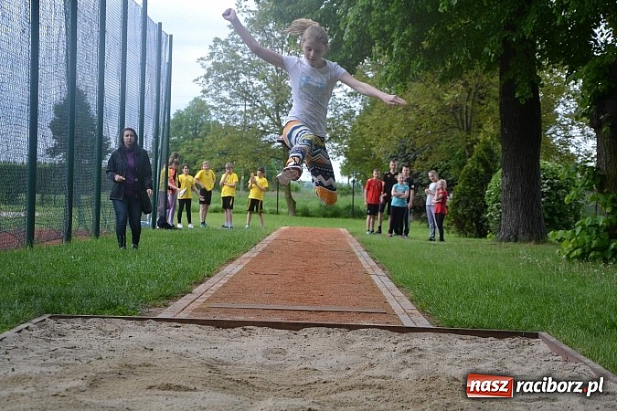 Zdjęcie w galerii na portalu naszraciborz.pl: Projekt Kultura, rekreacja i sport na pograniczu czesko-polskim zakończony konferencją wiadomości z regionu