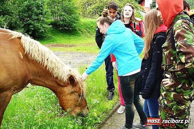 Zdjęcie w galerii na portalu naszraciborz.pl: Na Wieży Pogańskiej, nad Żabim Oczkiem, pod Biskupią Kopą, czyli III b na wycieczce  wiadomości z regionu
