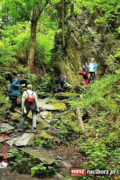 Zdjęcie w galerii na portalu naszraciborz.pl: Na Wieży Pogańskiej, nad Żabim Oczkiem, pod Biskupią Kopą, czyli III b na wycieczce  wiadomości z regionu