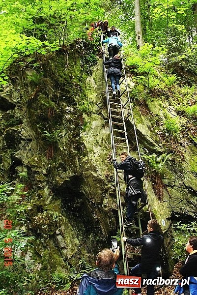 Zdjęcie w galerii na portalu naszraciborz.pl: Na Wieży Pogańskiej, nad Żabim Oczkiem, pod Biskupią Kopą, czyli III b na wycieczce  wiadomości z regionu
