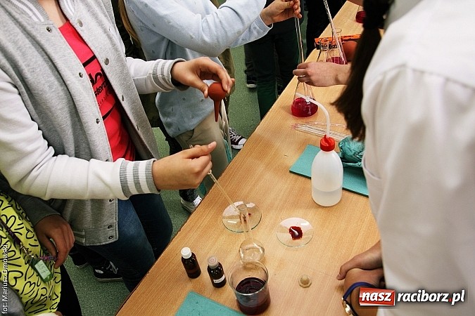 Zdjęcie w galerii na portalu naszraciborz.pl: Warsztaty, ćwiczenia chemiczne, pokazy fizyczne, gry... Czyli Festiwal Nauki i Techniki w Gimnazjum nr 5  wiadomości z regionu