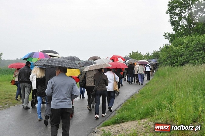 Zdjęcie w galerii na portalu naszraciborz.pl: W Brzeziu jak tradycja każe mimo deszczu poszli w procesji ze św. Urbanem wiadomości z regionu