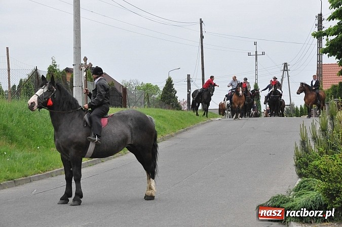Zdjęcie w galerii na portalu naszraciborz.pl: W Brzeziu jak tradycja każe mimo deszczu poszli w procesji ze św. Urbanem wiadomości z regionu