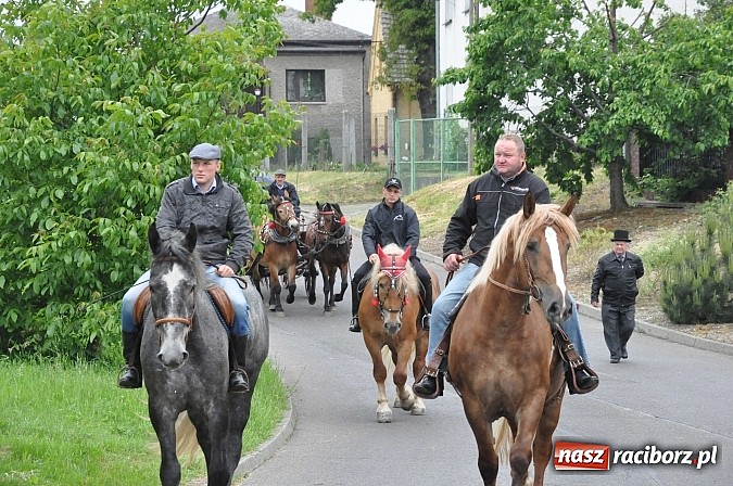 Zdjęcie w galerii na portalu naszraciborz.pl: W Brzeziu jak tradycja każe mimo deszczu poszli w procesji ze św. Urbanem wiadomości z regionu