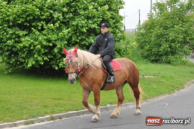 Zdjęcie w galerii na portalu naszraciborz.pl: W Brzeziu jak tradycja każe mimo deszczu poszli w procesji ze św. Urbanem wiadomości z regionu