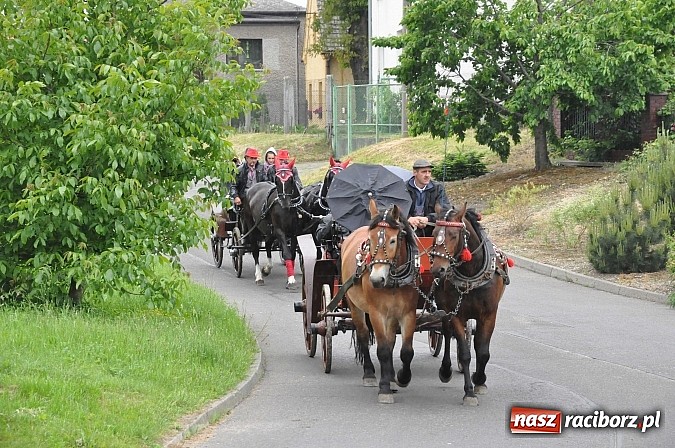 Zdjęcie w galerii na portalu naszraciborz.pl: W Brzeziu jak tradycja każe mimo deszczu poszli w procesji ze św. Urbanem wiadomości z regionu