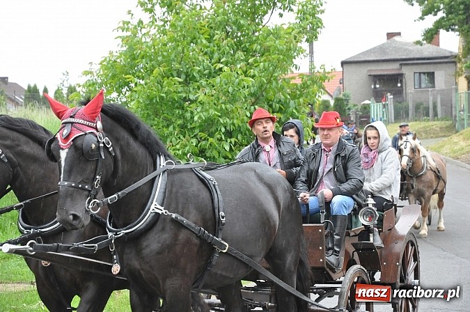 Zdjęcie w galerii na portalu naszraciborz.pl: W Brzeziu jak tradycja każe mimo deszczu poszli w procesji ze św. Urbanem wiadomości z regionu