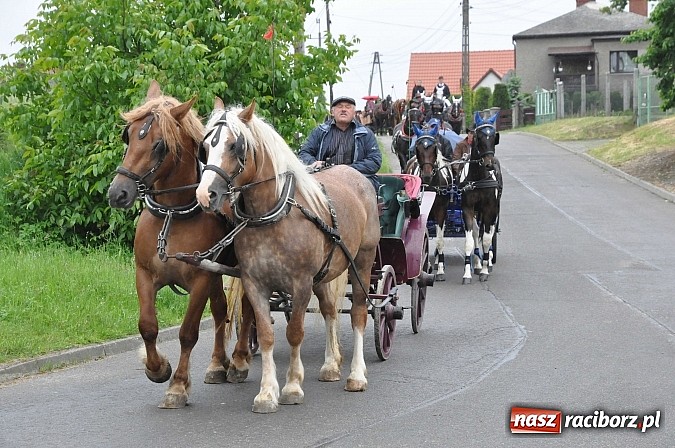 Zdjęcie w galerii na portalu naszraciborz.pl: W Brzeziu jak tradycja każe mimo deszczu poszli w procesji ze św. Urbanem wiadomości z regionu