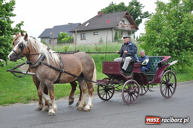Zdjęcie w galerii na portalu naszraciborz.pl: W Brzeziu jak tradycja każe mimo deszczu poszli w procesji ze św. Urbanem wiadomości z regionu