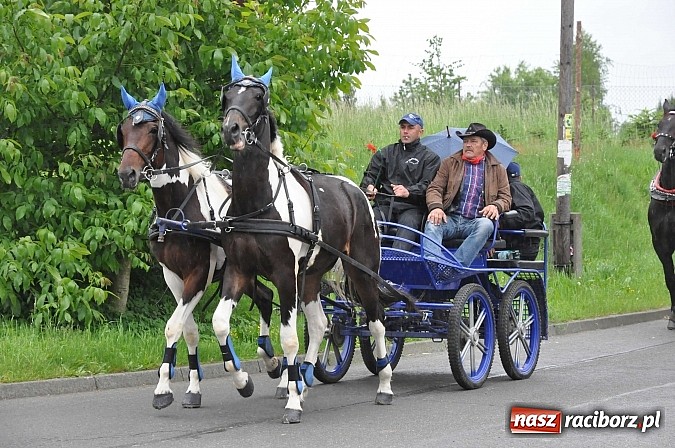 Zdjęcie w galerii na portalu naszraciborz.pl: W Brzeziu jak tradycja każe mimo deszczu poszli w procesji ze św. Urbanem wiadomości z regionu