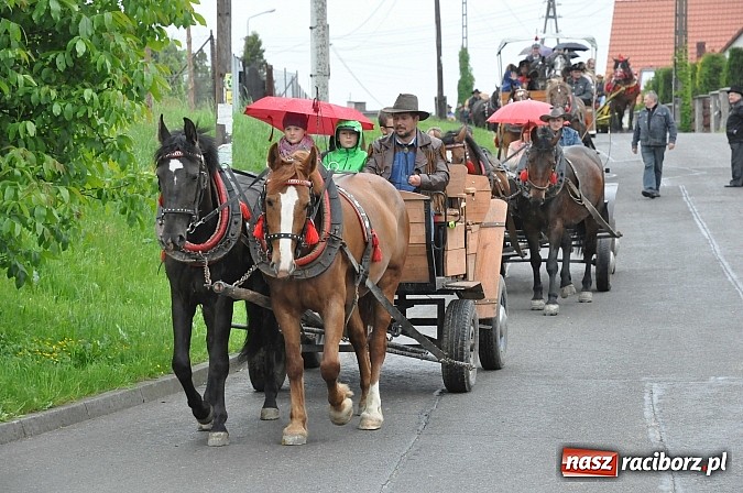 Zdjęcie w galerii na portalu naszraciborz.pl: W Brzeziu jak tradycja każe mimo deszczu poszli w procesji ze św. Urbanem wiadomości z regionu