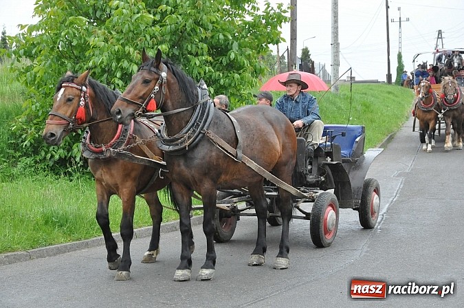 Zdjęcie w galerii na portalu naszraciborz.pl: W Brzeziu jak tradycja każe mimo deszczu poszli w procesji ze św. Urbanem wiadomości z regionu