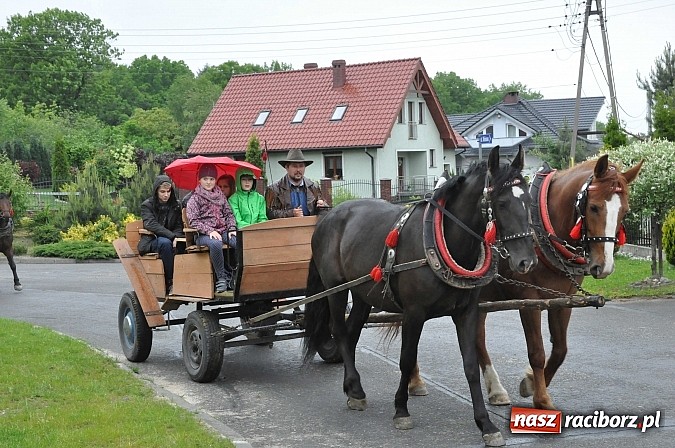 Zdjęcie w galerii na portalu naszraciborz.pl: W Brzeziu jak tradycja każe mimo deszczu poszli w procesji ze św. Urbanem wiadomości z regionu