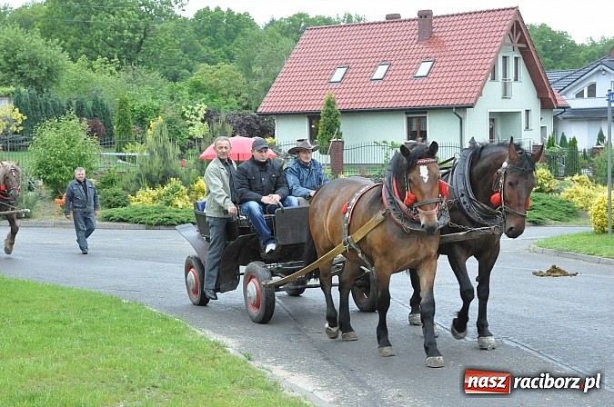 Zdjęcie w galerii na portalu naszraciborz.pl: W Brzeziu jak tradycja każe mimo deszczu poszli w procesji ze św. Urbanem wiadomości z regionu