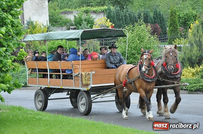 Zdjęcie w galerii na portalu naszraciborz.pl: W Brzeziu jak tradycja każe mimo deszczu poszli w procesji ze św. Urbanem wiadomości z regionu