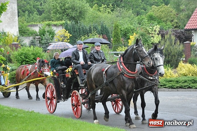 Zdjęcie w galerii na portalu naszraciborz.pl: W Brzeziu jak tradycja każe mimo deszczu poszli w procesji ze św. Urbanem wiadomości z regionu