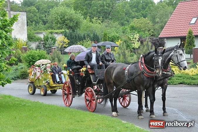 Zdjęcie w galerii na portalu naszraciborz.pl: W Brzeziu jak tradycja każe mimo deszczu poszli w procesji ze św. Urbanem wiadomości z regionu