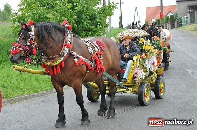 Zdjęcie w galerii na portalu naszraciborz.pl: W Brzeziu jak tradycja każe mimo deszczu poszli w procesji ze św. Urbanem wiadomości z regionu
